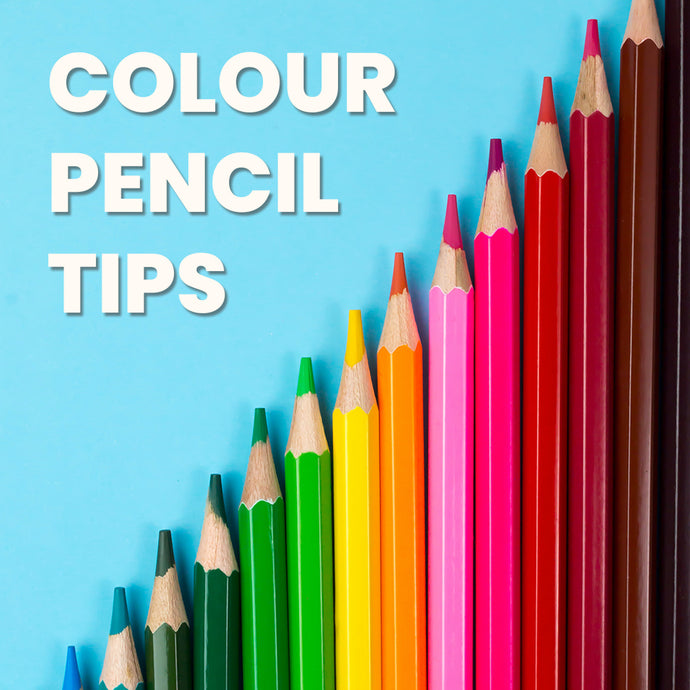 Colour Pencil Tips for Beginner Artists
