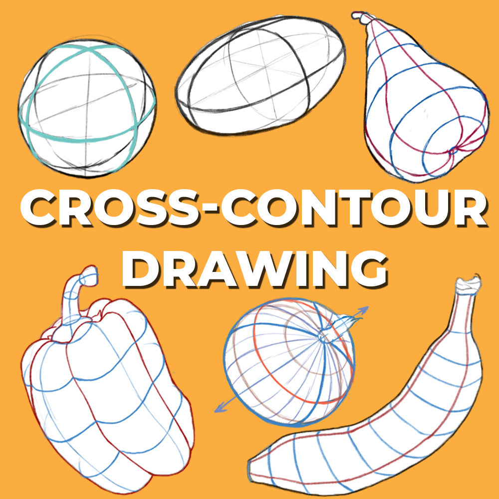 Uplevel Your Art Skills With CrossContour Drawing Techniques Uplevel Your Art Skills With CrossContour Drawing Techniques