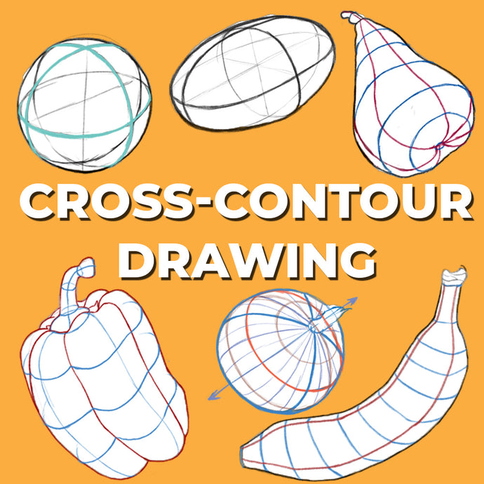 Uplevel Your Art Skills With Cross-Contour Drawing Techniques