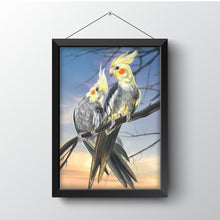 Load image into Gallery viewer, Cockatiel drawing in a black frame.
