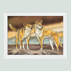 Dingo drawing in a white frame.