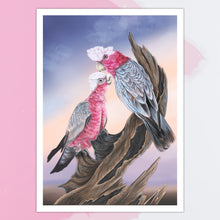 Load image into Gallery viewer, Galah Downloadable Print
