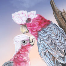 Load image into Gallery viewer, Galah Downloadable Print
