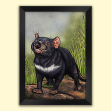 Load image into Gallery viewer, Tasmainian devil print in a black frame.
