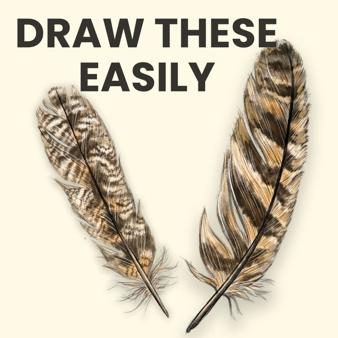 How To Draw A Feather