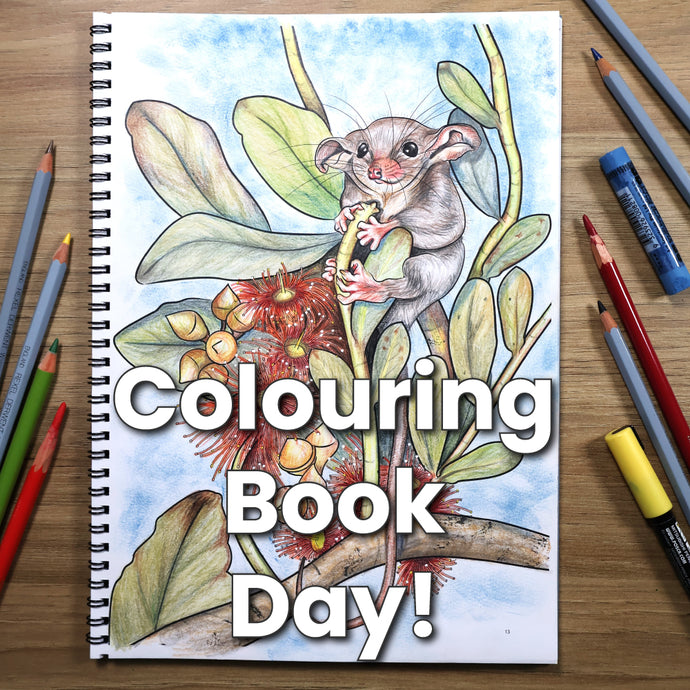 Professional Artist Explores Colouring Books With Colour Pencils