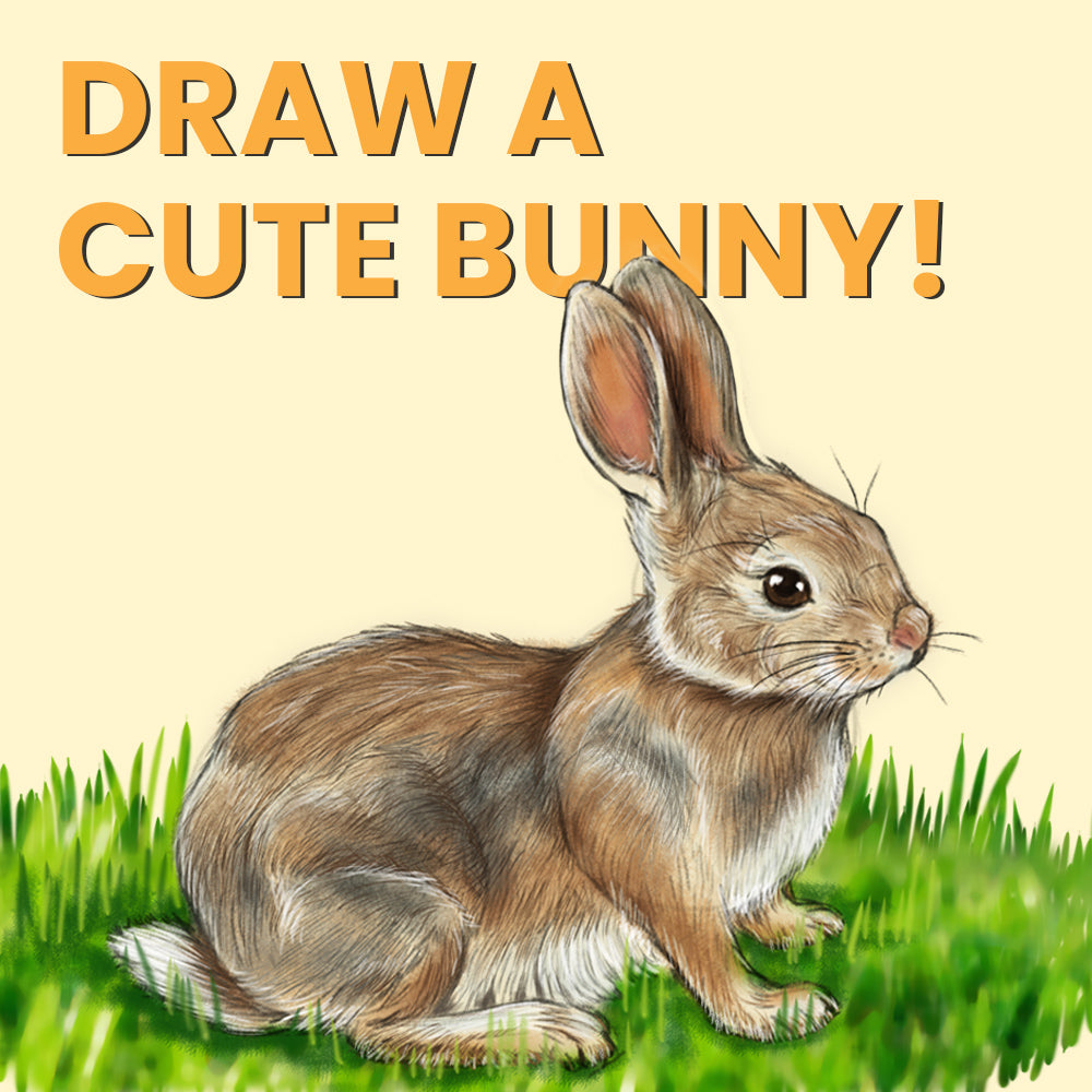 how to draw a realistic rabbit