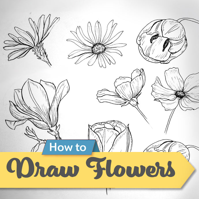 How to Draw Flowers With Pencil and Pen