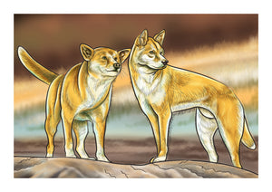 Dingoes in the Wild Downloadable Print
