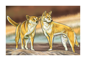 Dingoes in the Wild Downloadable Print