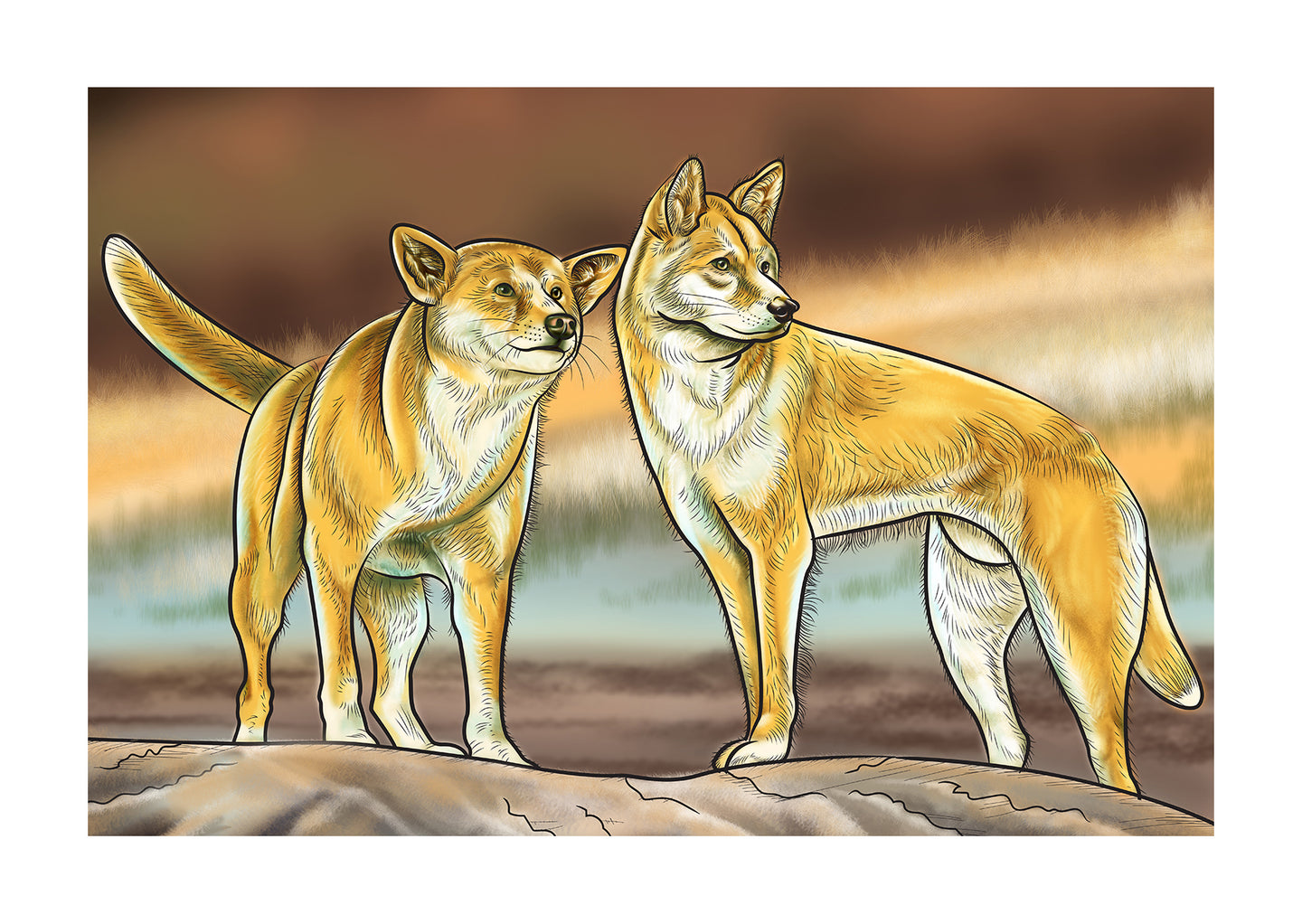 Dingoes in the Wild Downloadable Print