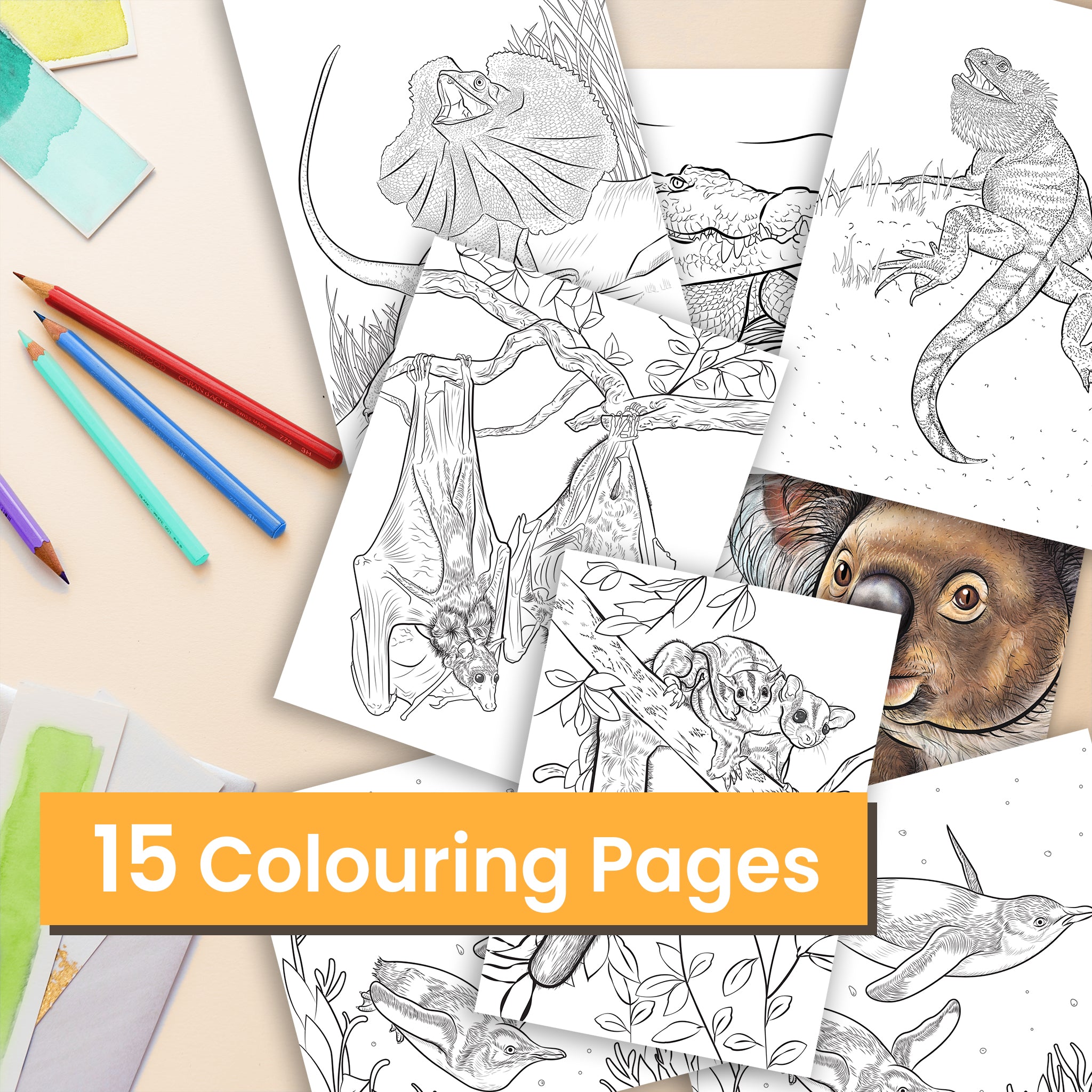 Printable Colouring-in - Explore our ready to be coloured printable ...