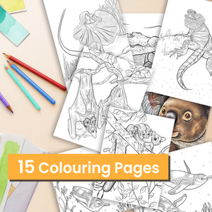 Cute Animal Colouring In Pages| Adorable Australian wildlife | 15 Colouring sheets