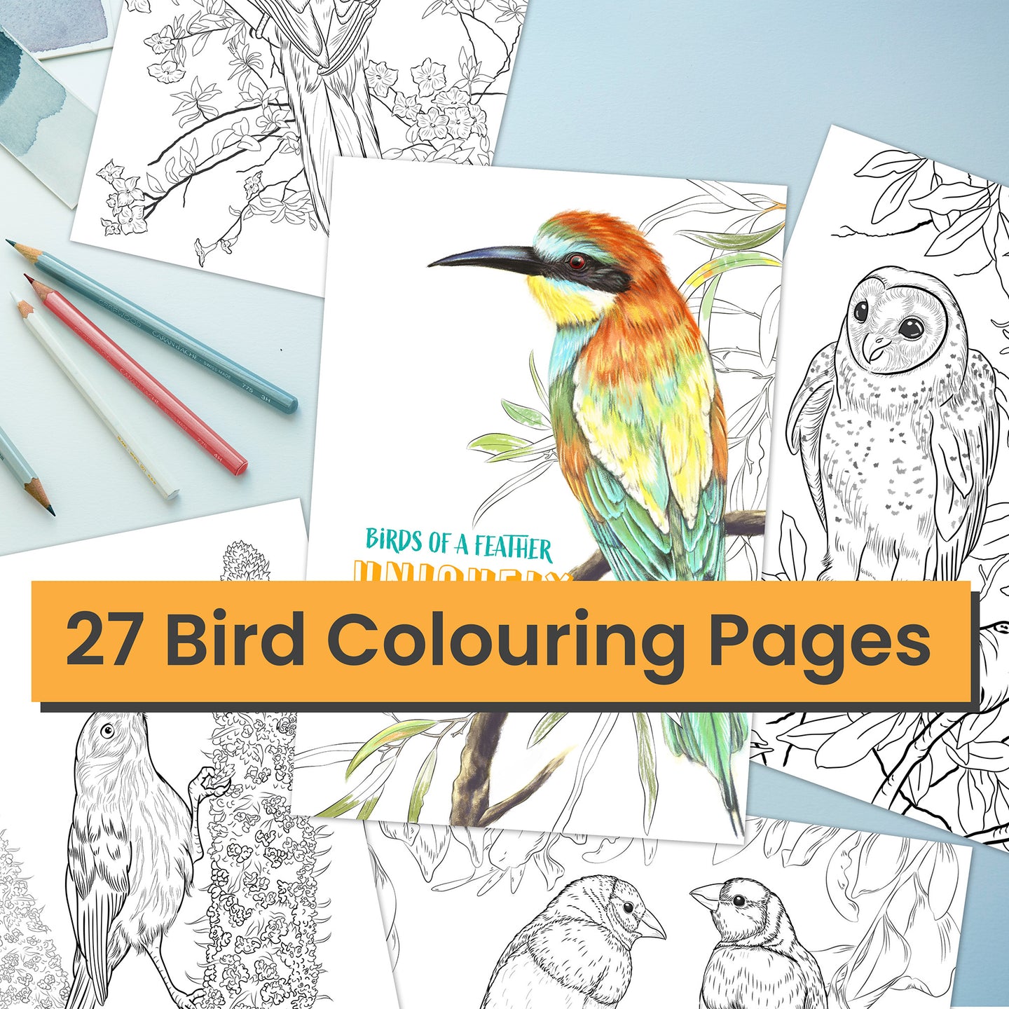 Elegant & Intricate Bird Colouring In Pages