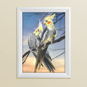 Cockatiel drawing in a white frame.