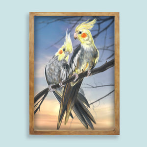 Cockatiel drawing in a wooden frame.
