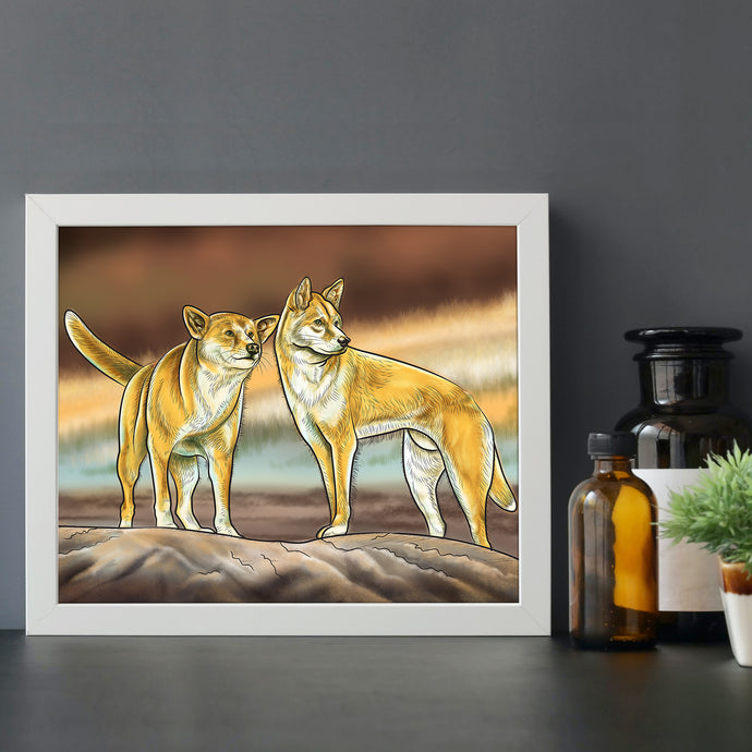 Dingoes of Australia print on a desk. Australian animal art.