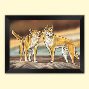 Dingo drawing in a black frame.