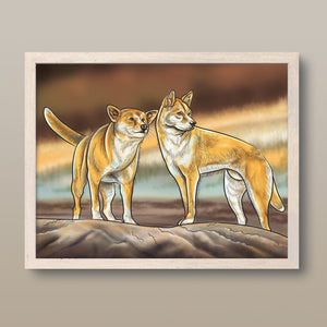 Dingo print in a wooden frame.