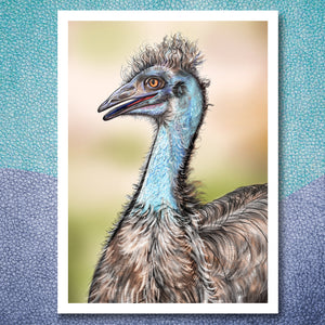 Emu print. Printable bird pictures.