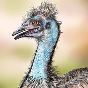 Emu drawing close up shot.