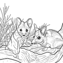 Load image into Gallery viewer, Cute Animal Colouring In Pages| Adorable Australian wildlife | 15 Colouring sheets
