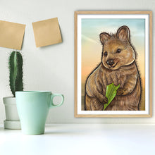 Load image into Gallery viewer, Quokka artwork in a wooden frame. Quokka animal heads for wall decor.
