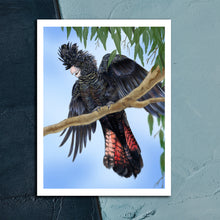 Load image into Gallery viewer, Red-tailed Black Cockatoo printable wall art.
