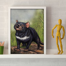 Load image into Gallery viewer, Cute Tasmainian Devil drawing on a shelf.
