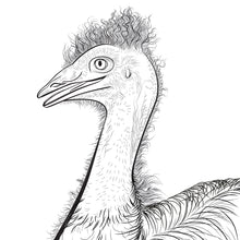 Load image into Gallery viewer, Emu colouring book therapy.
