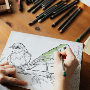 Elegant & Intricate Bird Colouring In Pages